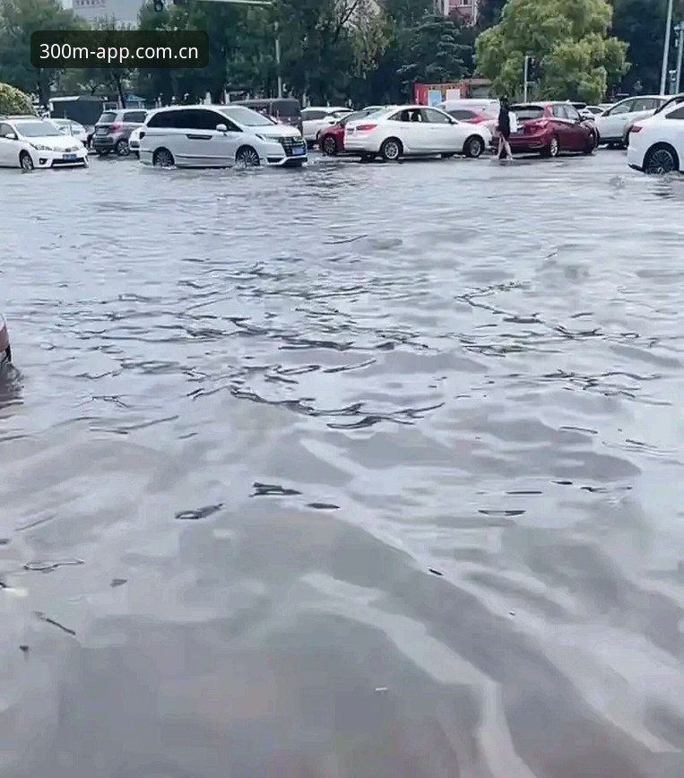 一场暴雨中断的足球赛，教会我三亿彩票赛事数据对比站的新玩法